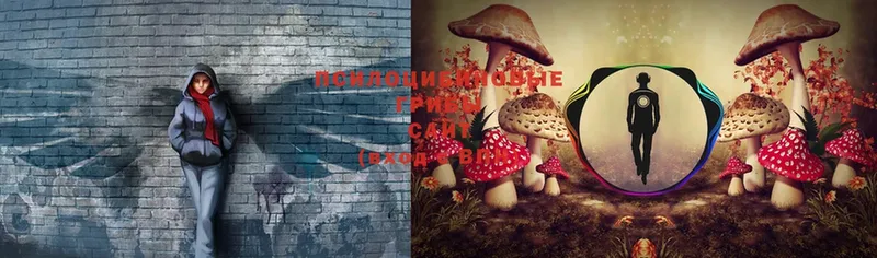 Галлюциногенные грибы MAGIC MUSHROOMS  Кемь 